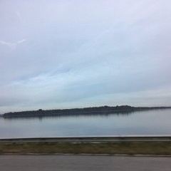IMG 084